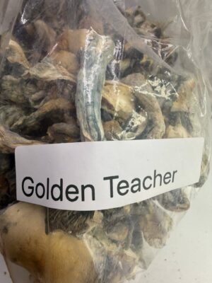 photo_2026-04-20_03-25-02 Golden teachers shrooms