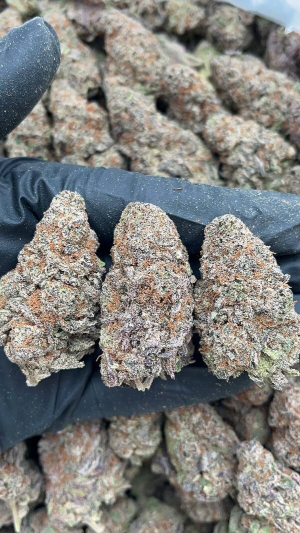 photo_2026-04-21_05-07-22 Chemdawg Guava