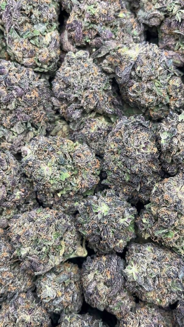 photo_2026-04-21_05-32-52 Black Cherry Pie