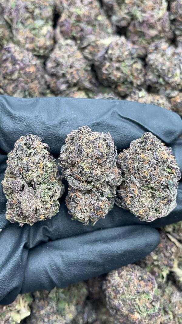 photo_2026-04-21_05-32-56 Black Cherry Pie