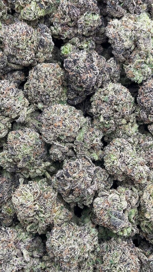 Gorilla glue