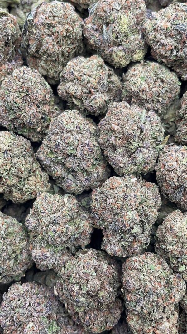 photo_2026-04-21_07-05-44 Purple punch