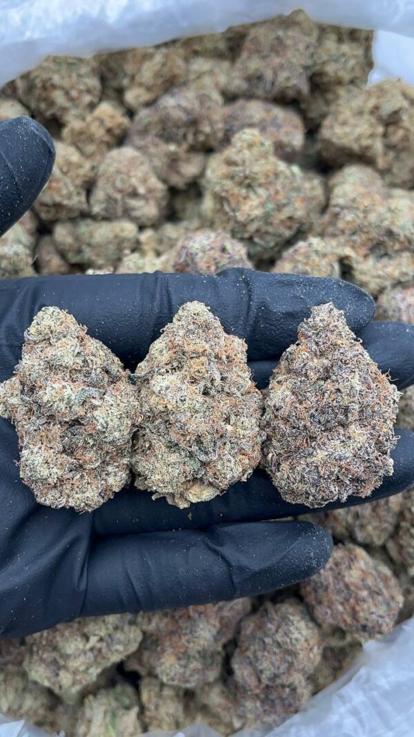photo_2026-04-21_07-08-28 Pineapple Express
