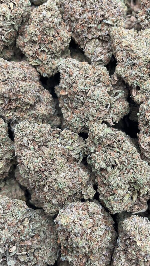 photo_2026-04-21_07-22-43 Fire OG