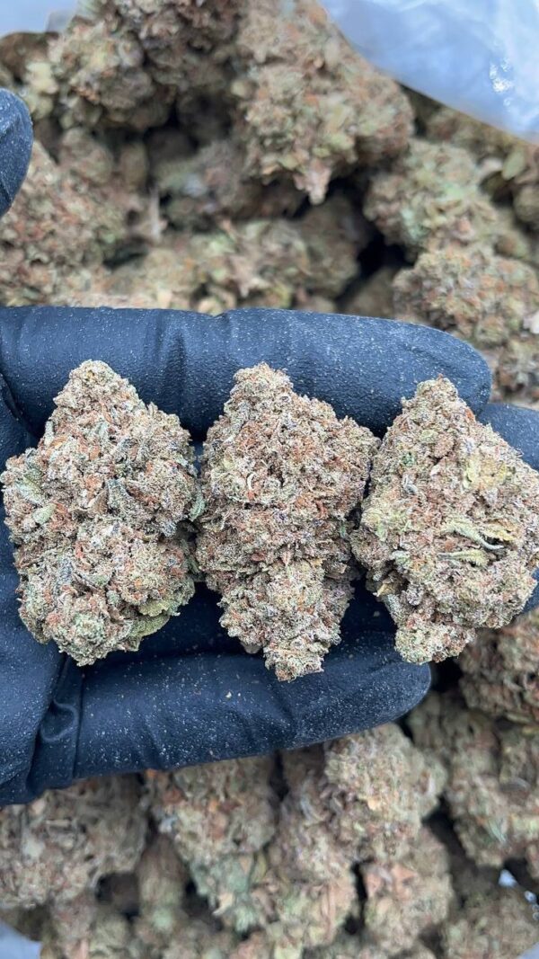 photo_2026-04-21_07-22-46 Fire OG