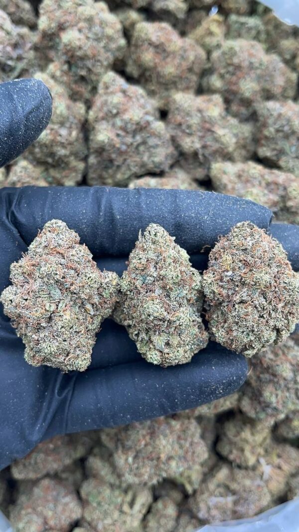 Khalifa Kush