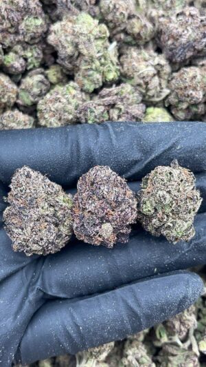 Blackberry kush