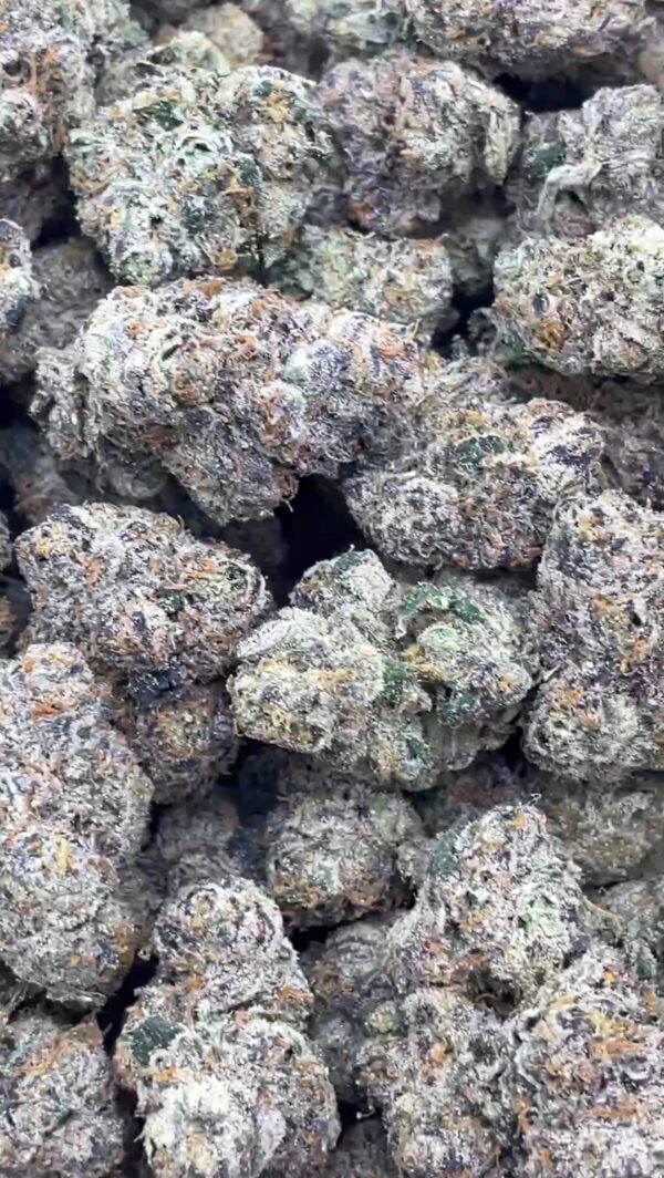 photo_2026-04-21_07-56-39 Purple Candy Runtz
